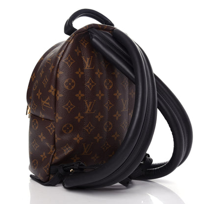 Louis Vuitton Reverse Monogram Palm Springs Backpack PM 2 of 9