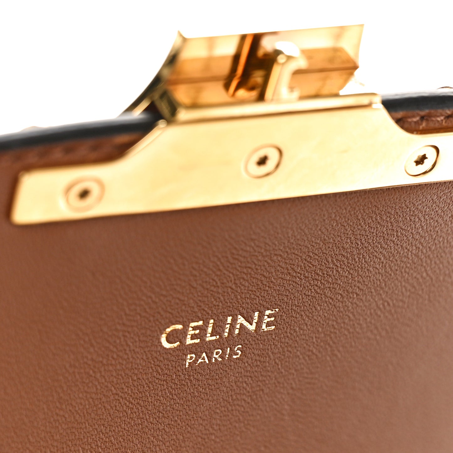 Calfskin Triomphe Canvas Teen Triomphe Bag Tan