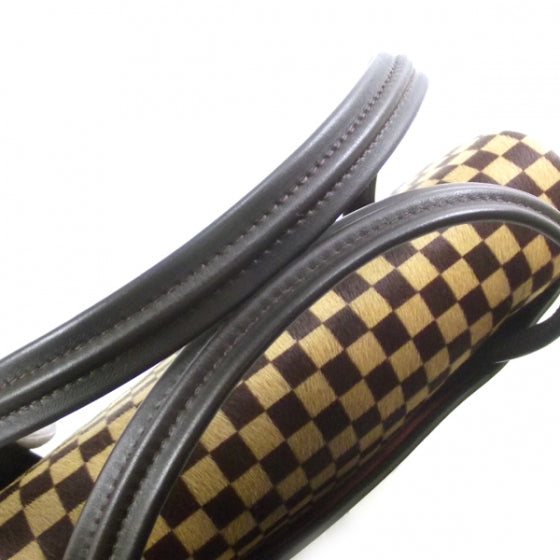 Louis Vuitton Damier Sauvage Lionne 6 of 11