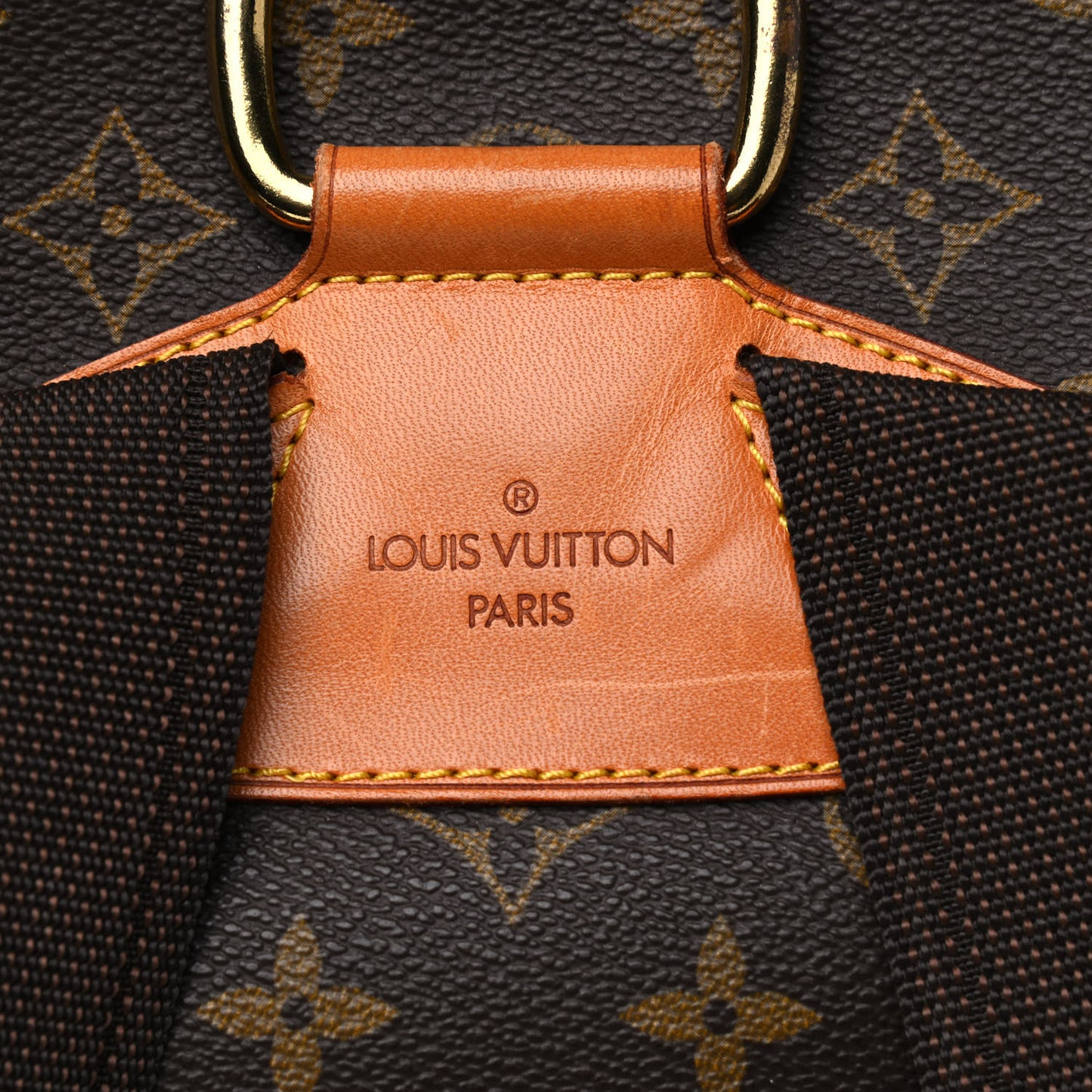 Monogram Montsouris GM Backpack