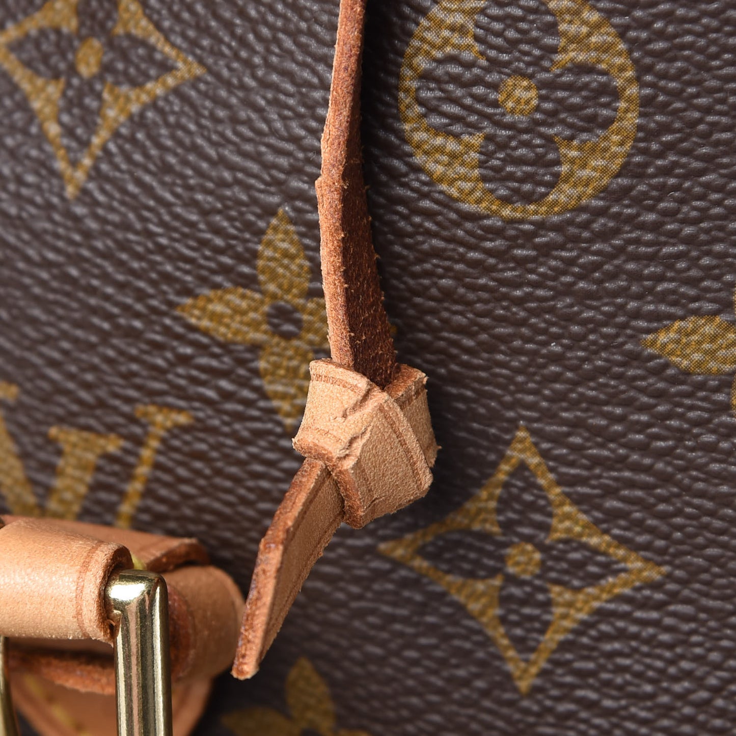 Monogram Montsouris GM Backpack