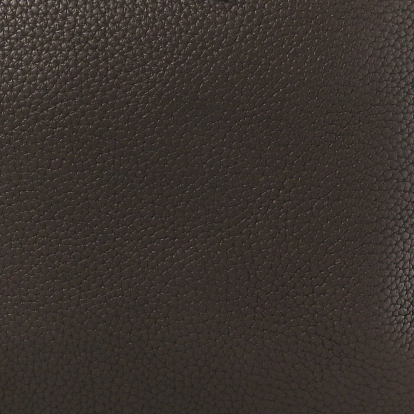 Taurillon Clemence Victoria II 35 Cafe