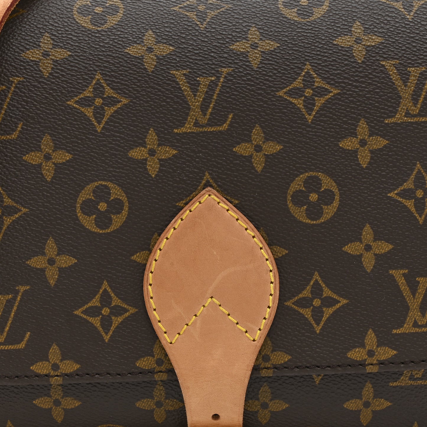 Monogram Cartouchiere 22