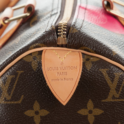 Louis Vuitton Monogram Speedy 30 V Grenade 5 of 7