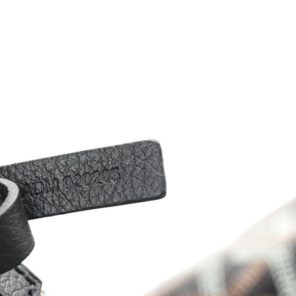 Goyard Goyardine Saint Louis PM Black 7 of 11