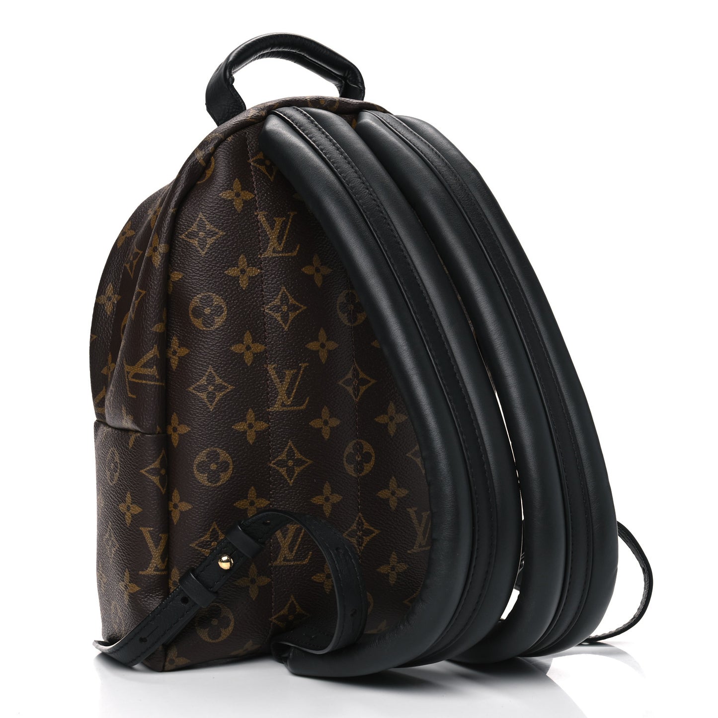 Monogram Palm Springs Backpack PM
