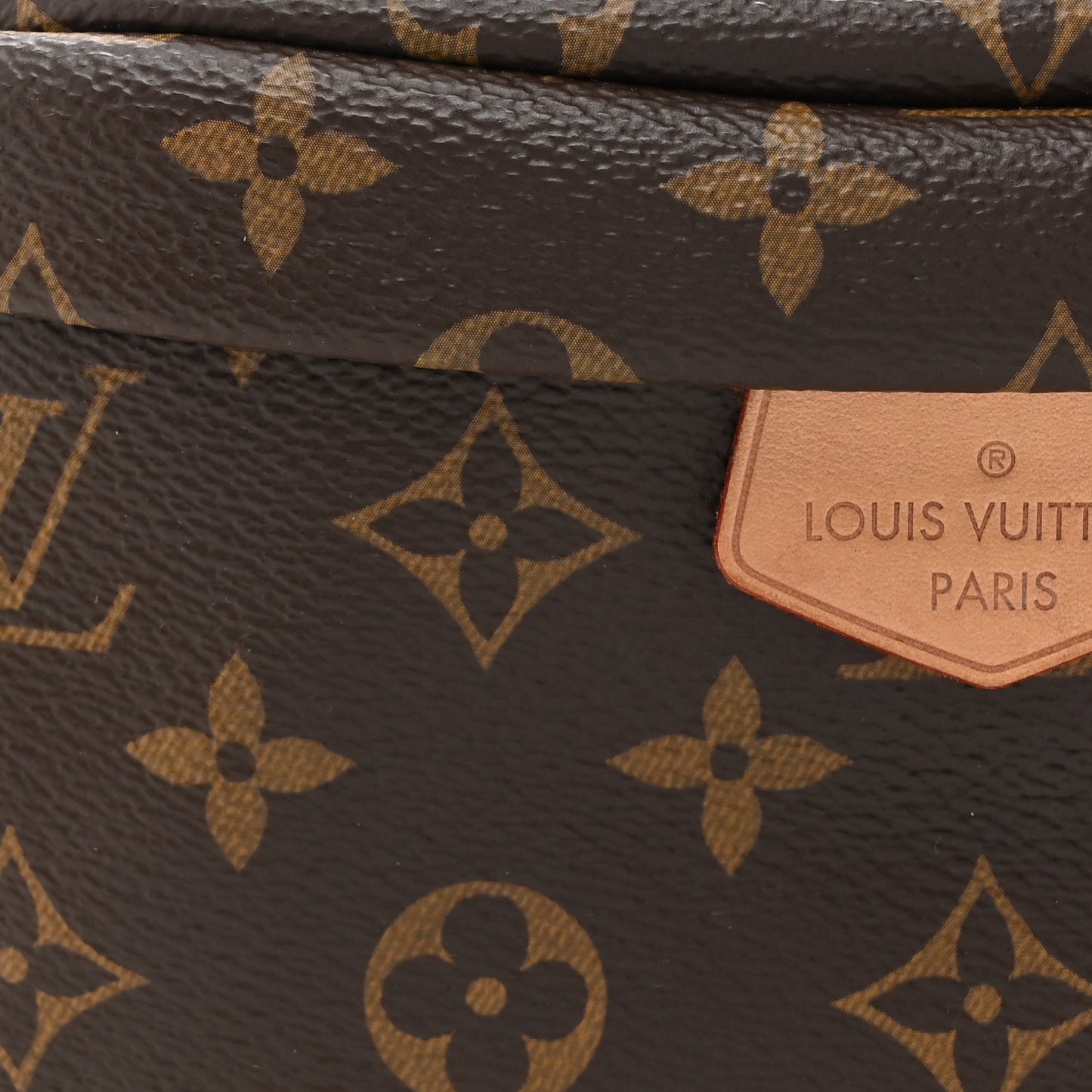 Monogram Bumbag