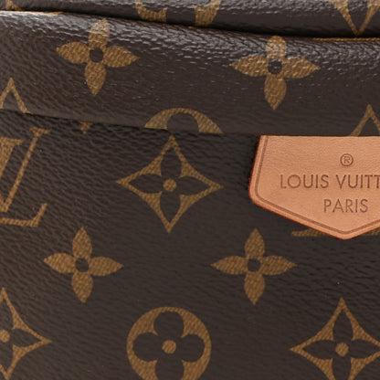 Louis Vuitton Monogram Bumbag 7 of 10