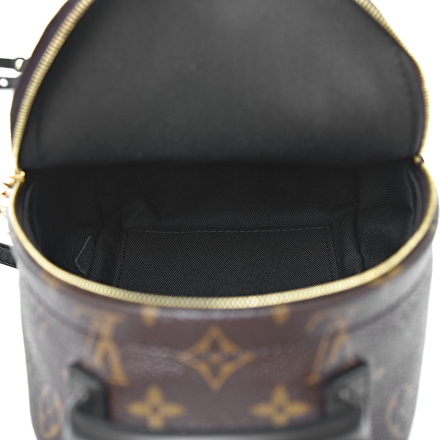 Monogram Palm Springs Backpack Mini