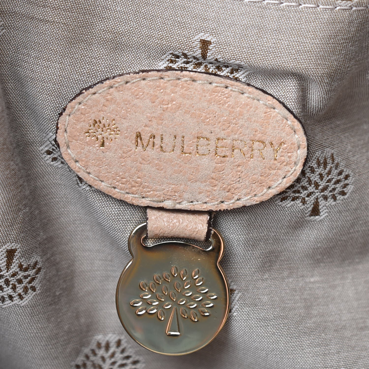 Mulberry Alexa Hobo Powder Sparkle 6 of 13