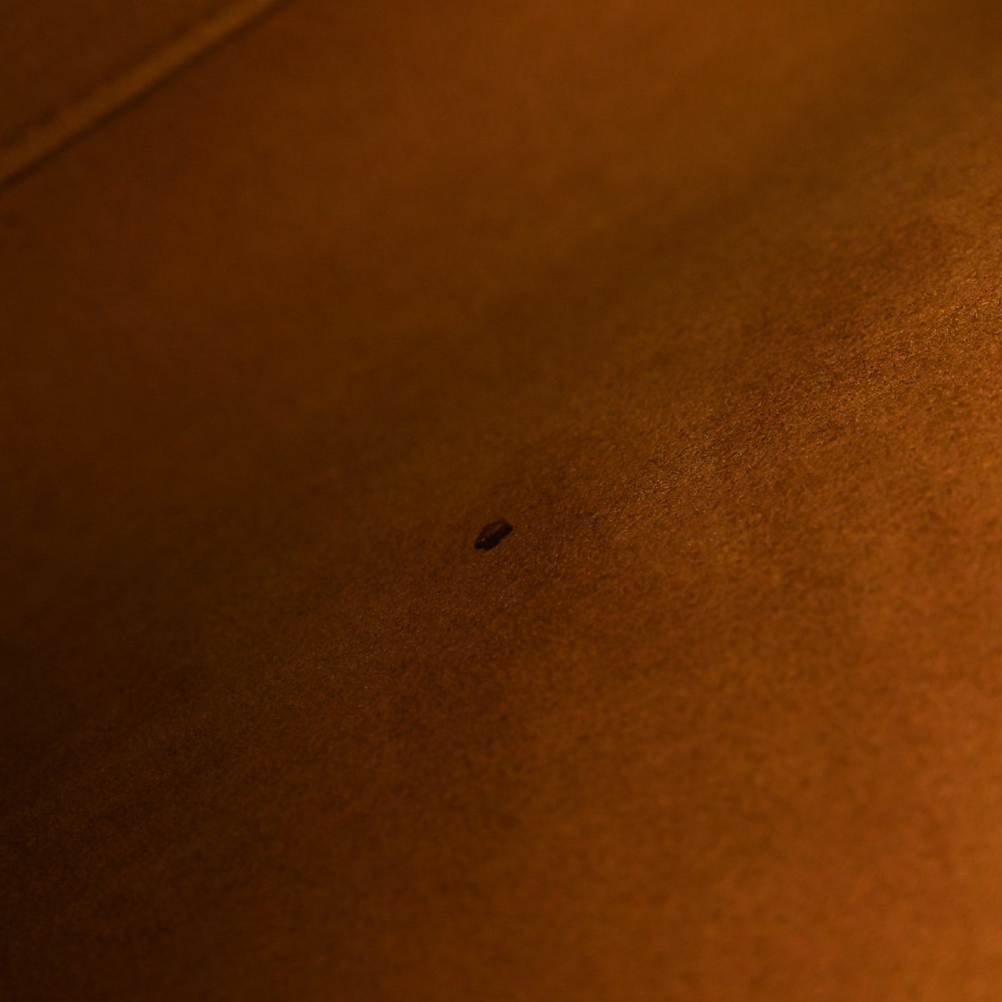 Visetos Medium Luisa Shopper Tote Black