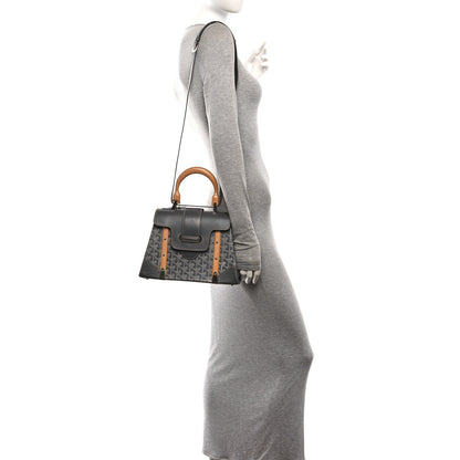 Goyard Goyardine Saigon PM Grey 2 of 9
