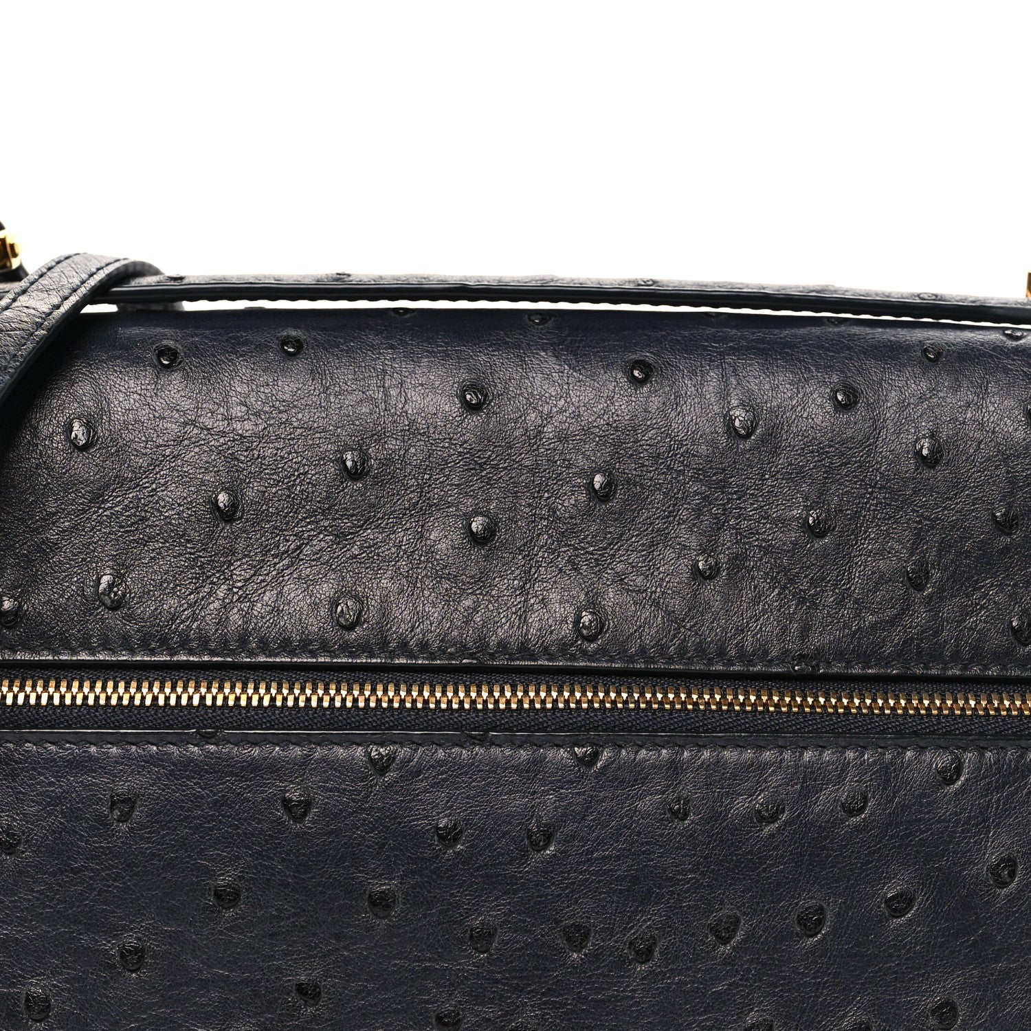 Loro Piana Ostrich Extra Bag L27 Navy 6 of 10