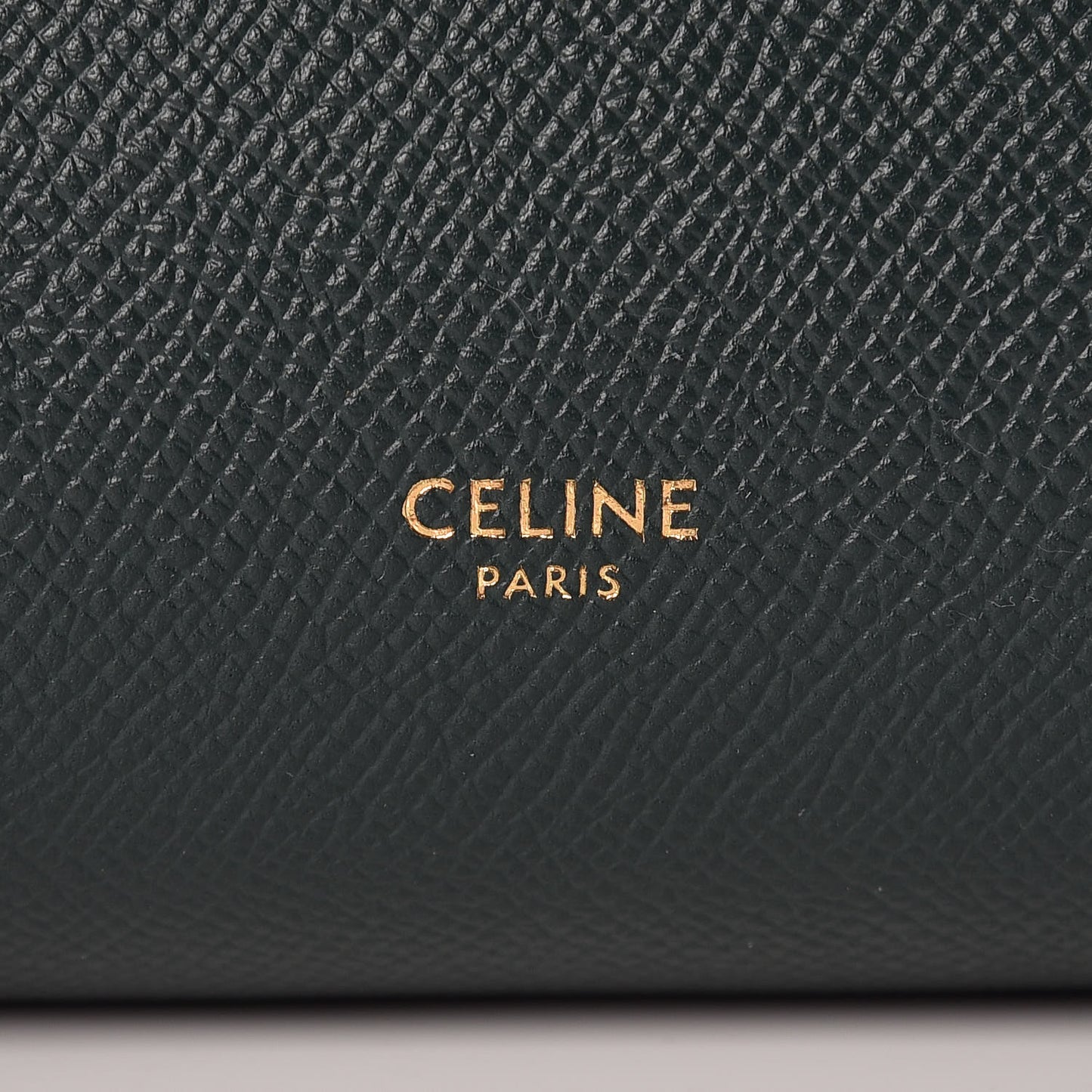 Grained Calfskin Nano Belt Bag Amazone