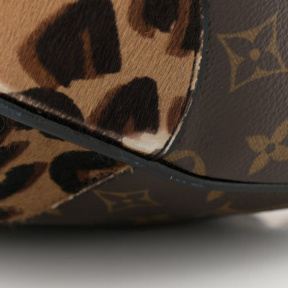Louis Vuitton Monogram Leopard Stephen Bag 10 of 12