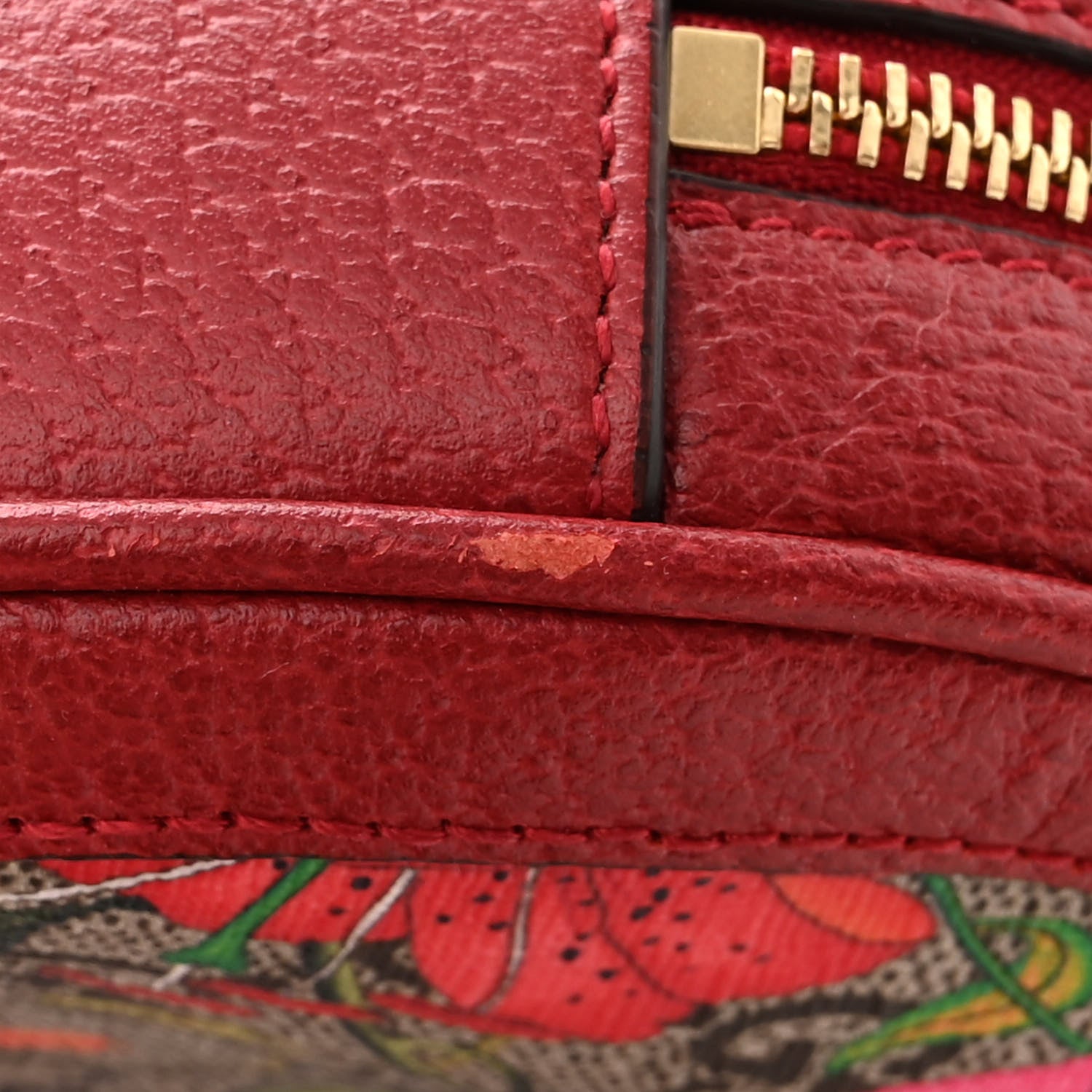 Gucci GG Supreme Monogram Web Flora Mini Ophidia Round Backpack Red 11 of 12