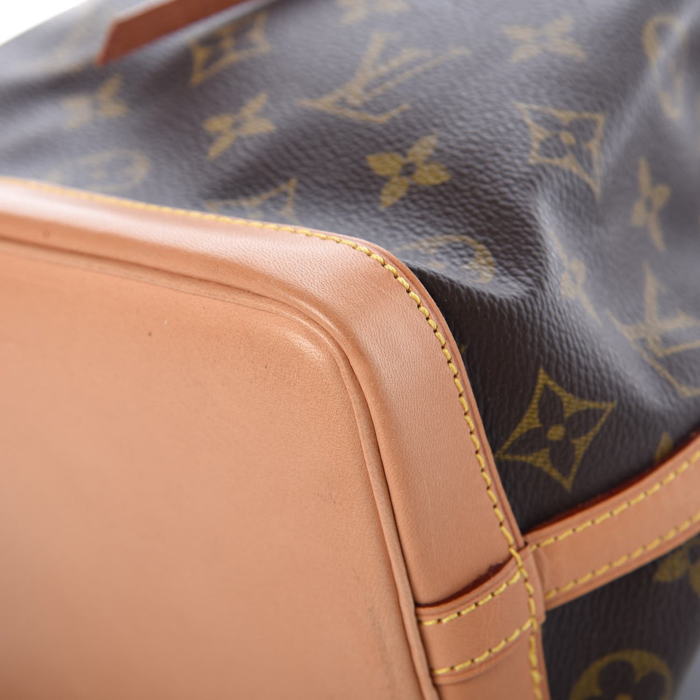 Monogram Mini Noe