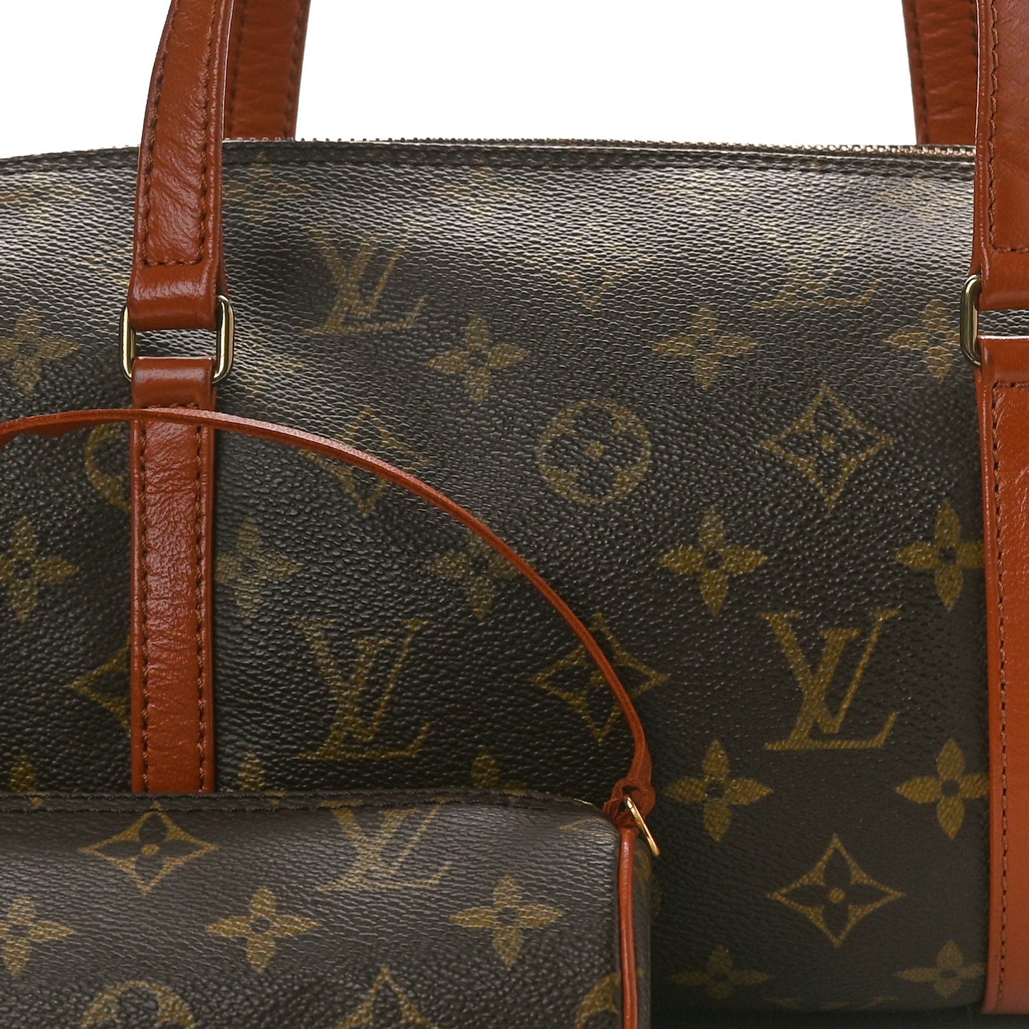 Monogram Papillon 30 with Companion