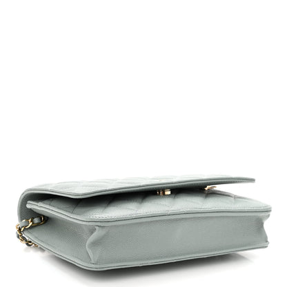 Chanel Caviar Quilted Wallet On Chain WOC Light Gray 4 of 11
