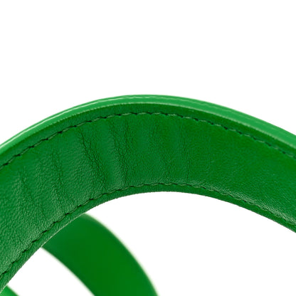 Bottega Veneta Lambskin Maxi Intrecciato Cassette Crossbody Bag Grass 13 of 13