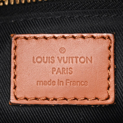 Louis Vuitton Reverse Monogram Dauphine Hobo MM 6 of 10
