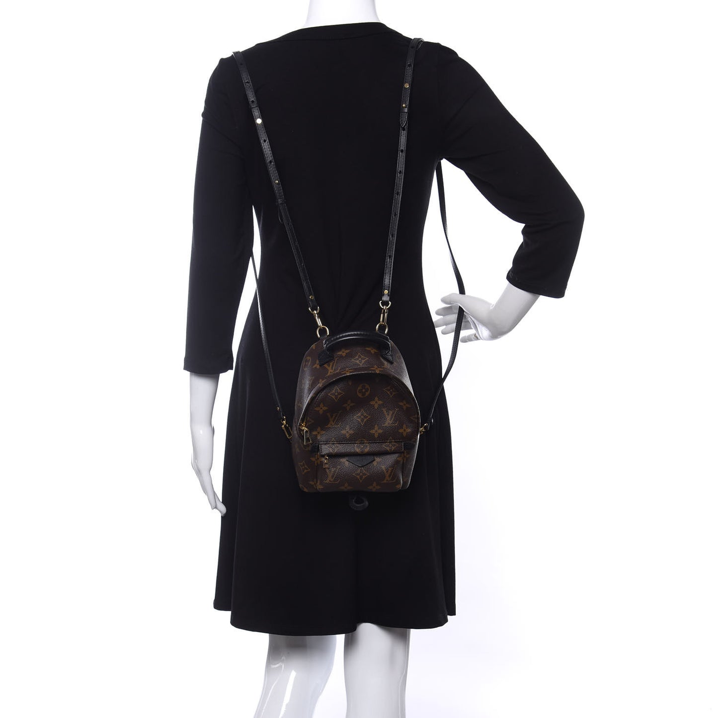 Monogram Palm Springs Backpack Mini