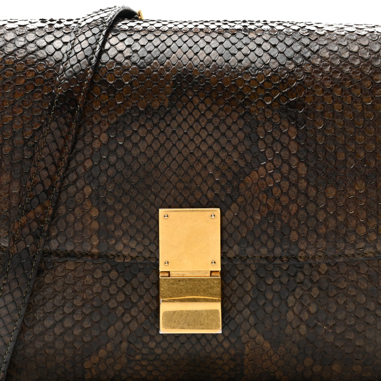 Snakeskin Medium Classic Box Flap Bag Brown