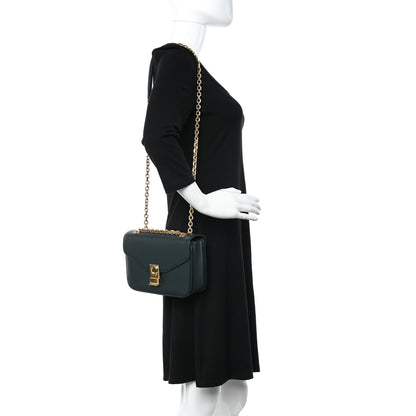 Celine Shiny Calfskin Medium C Bag Amazone 2 of 13