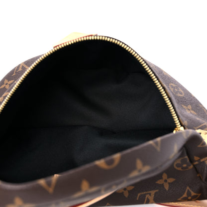 Louis Vuitton Monogram Bumbag 5 of 11