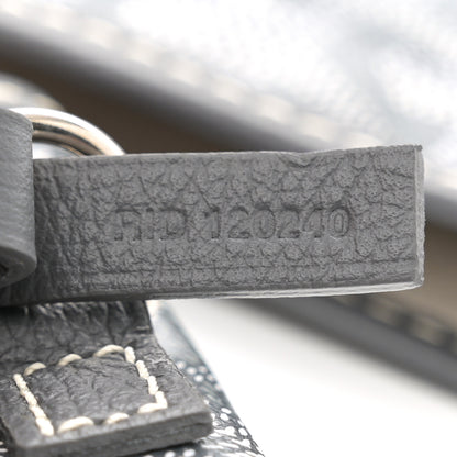 Goyard Goyardine Saint Louis PM Grey 8 of 11