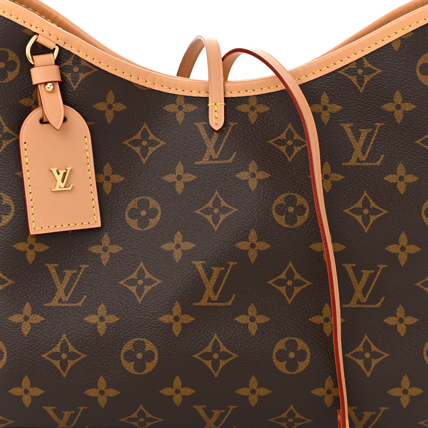 Monogram CarryAll PM