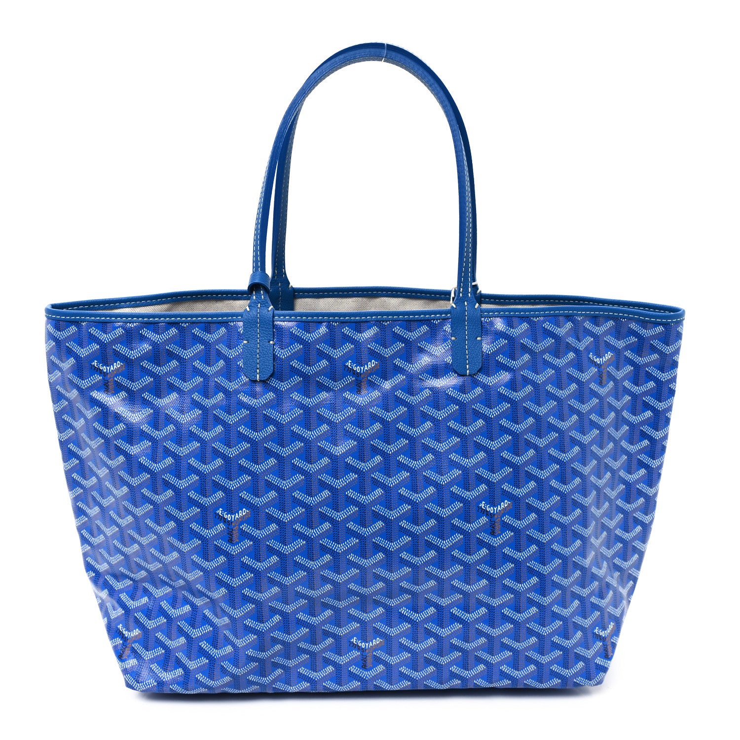 Goyard Goyardine Saint Louis PM Sky Blue 1 of 11