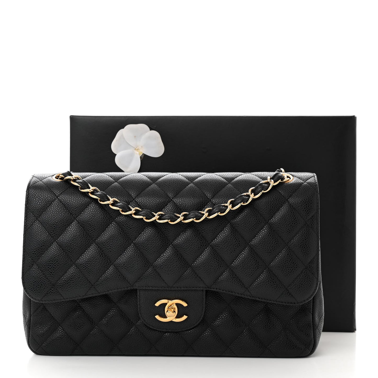 Caviar Quilted Jumbo Double Flap Black