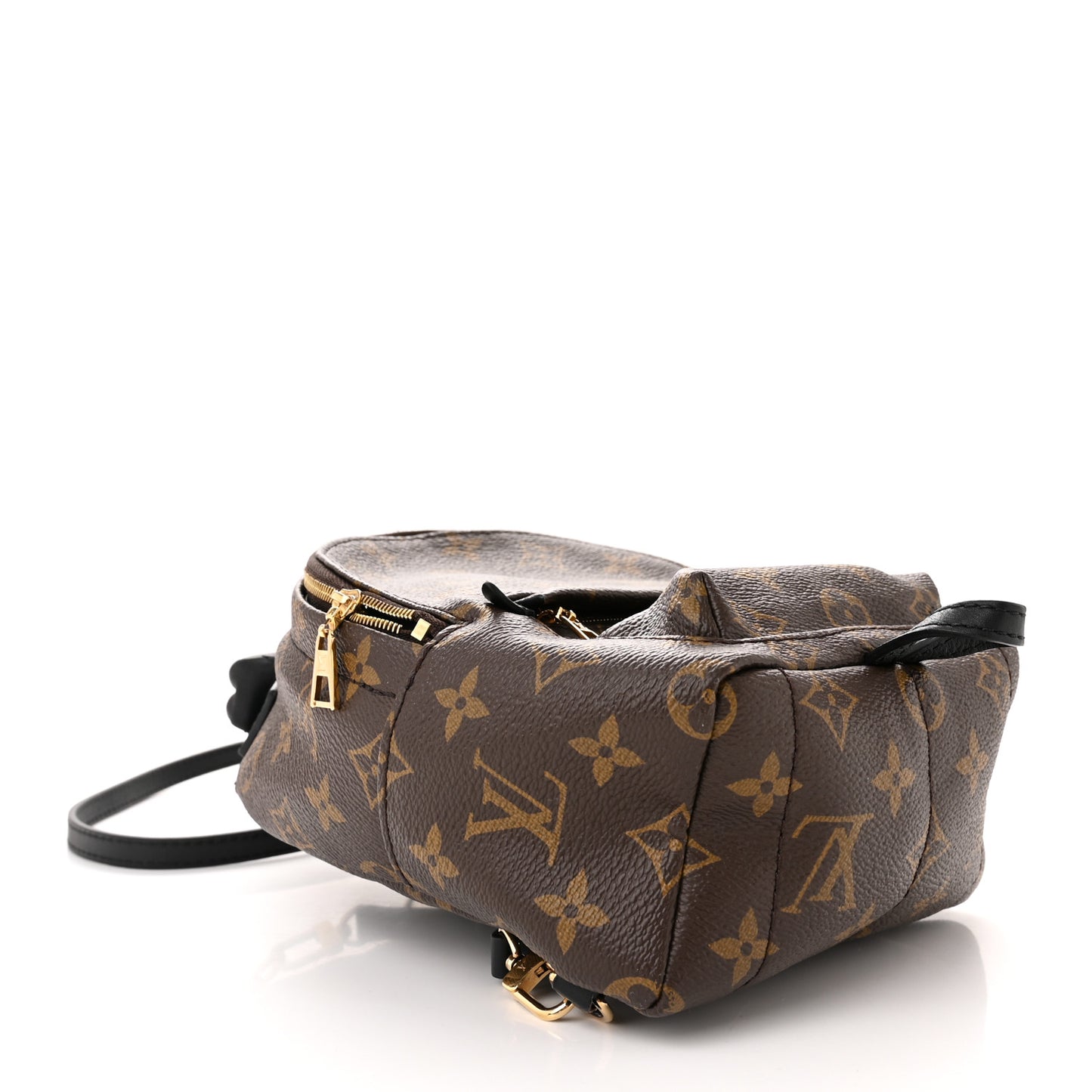 Monogram Palm Springs Backpack Mini