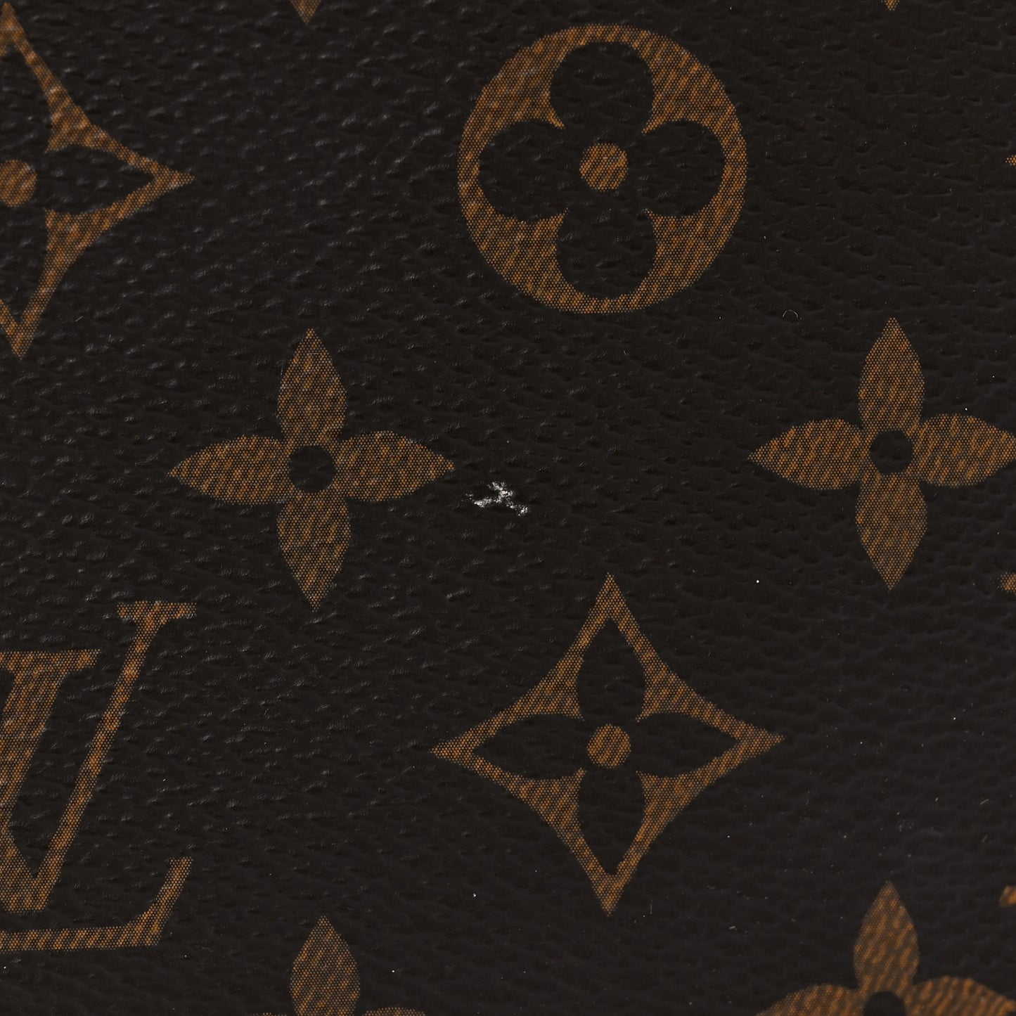 Monogram Nice BB
