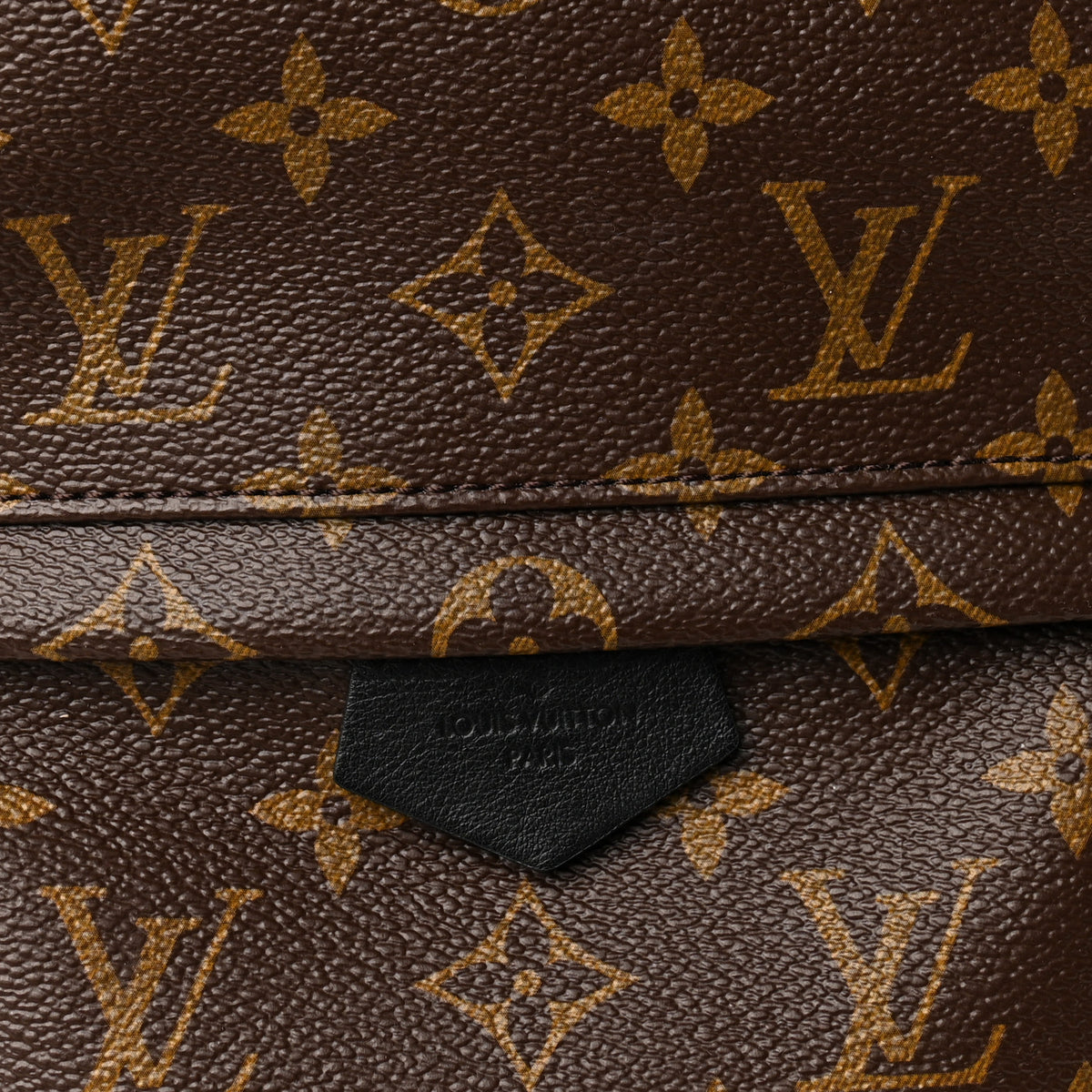 Monogram Palm Springs Backpack PM
