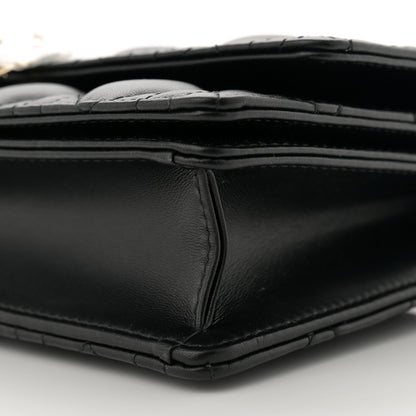 Christian Dior Lambskin Cannage Miss Dior Chain Pouch Black 10 of 11