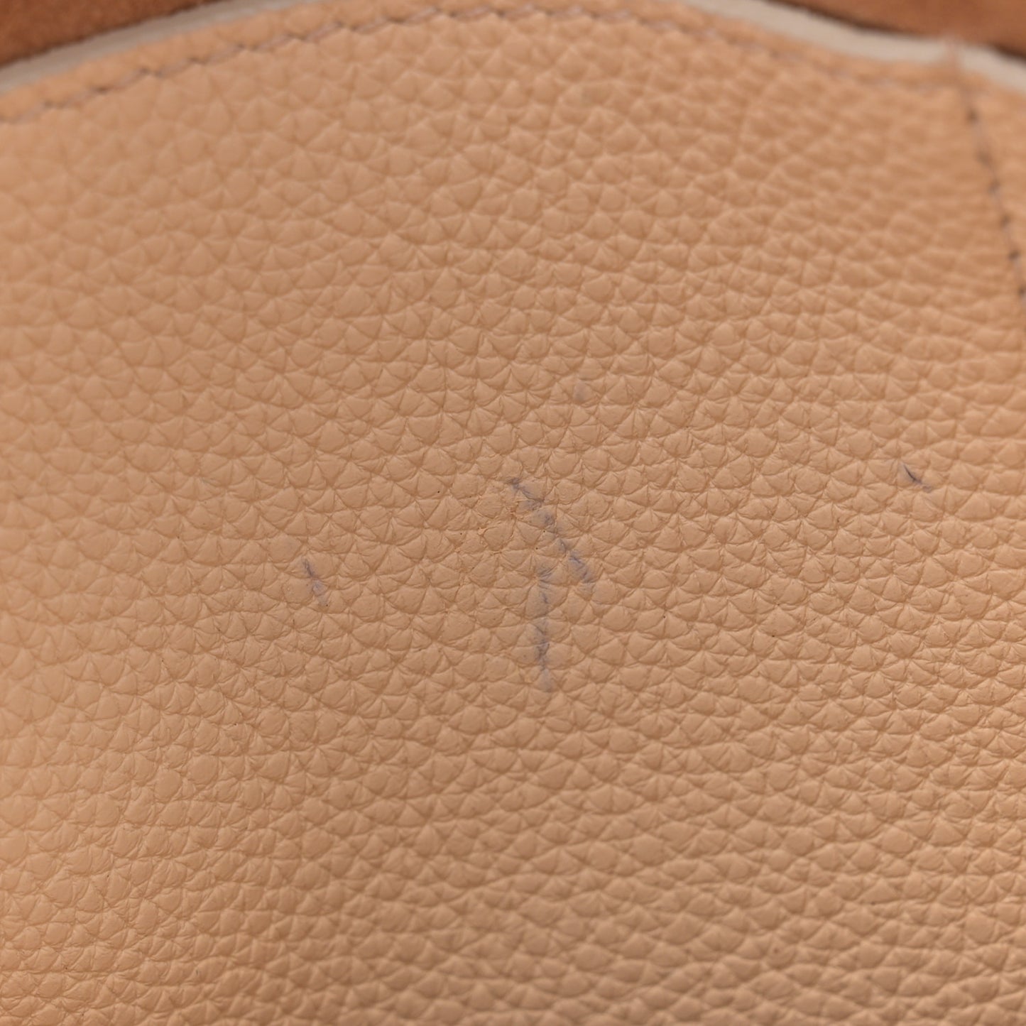 Grained Calfskin Sidekick Beige