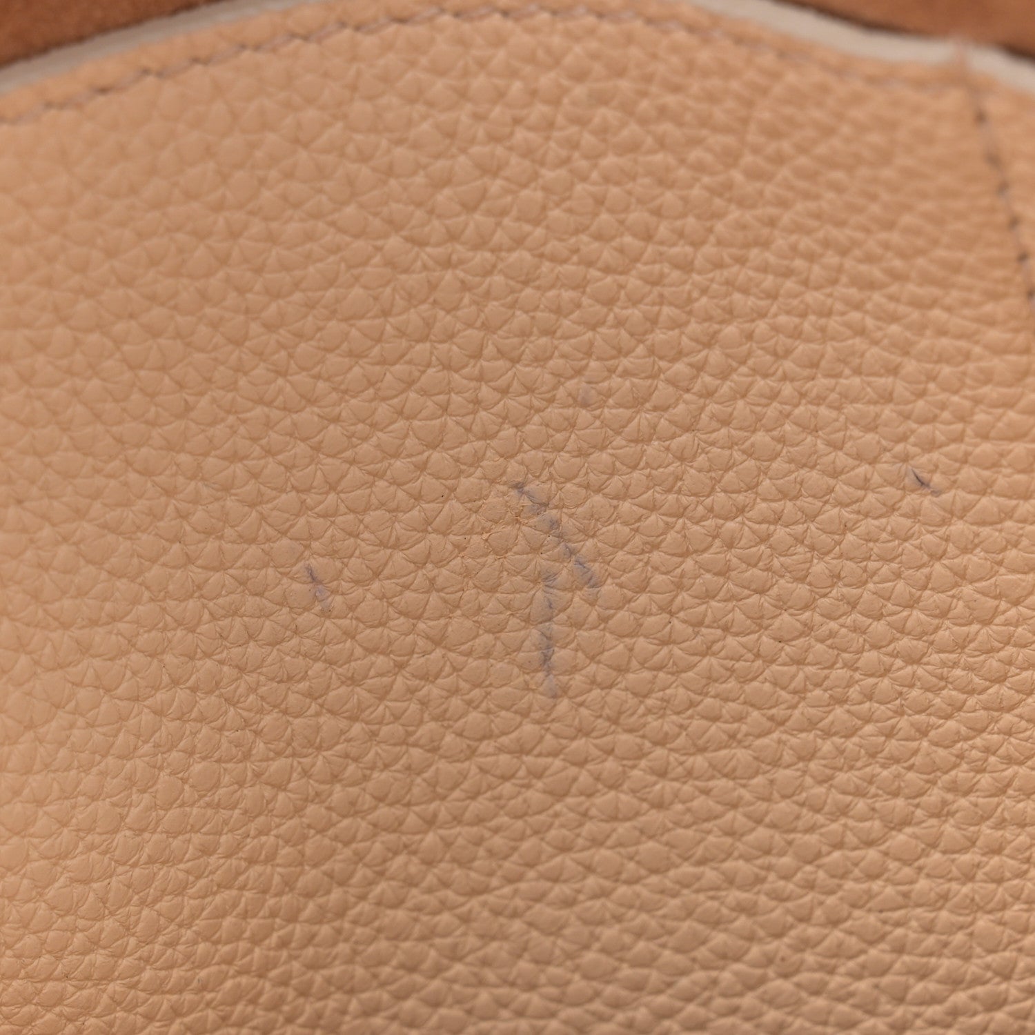 The Row Grained Calfskin Sidekick Beige 10 of 13