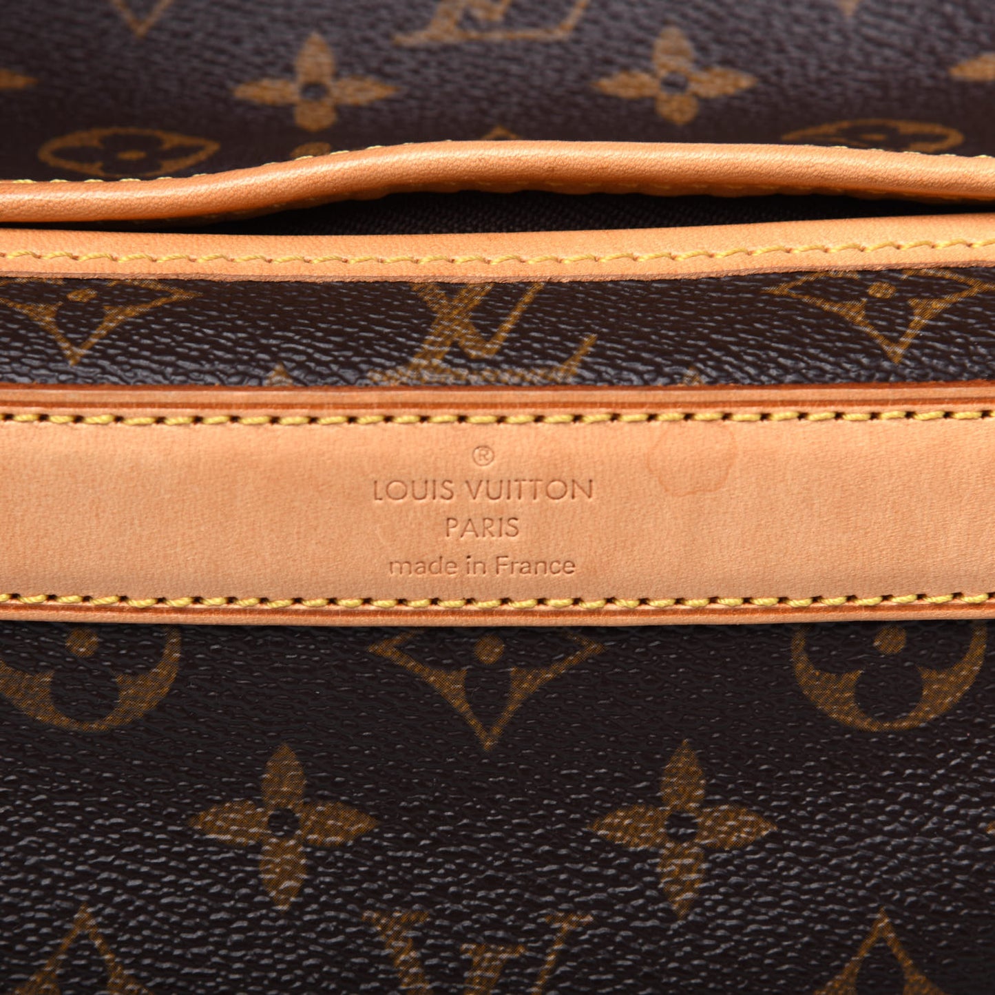 Monogram Sac Chien 40 Pet Carrier