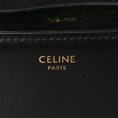 Celine Shiny Calfskin Nano Triomphe Black 5 of 10