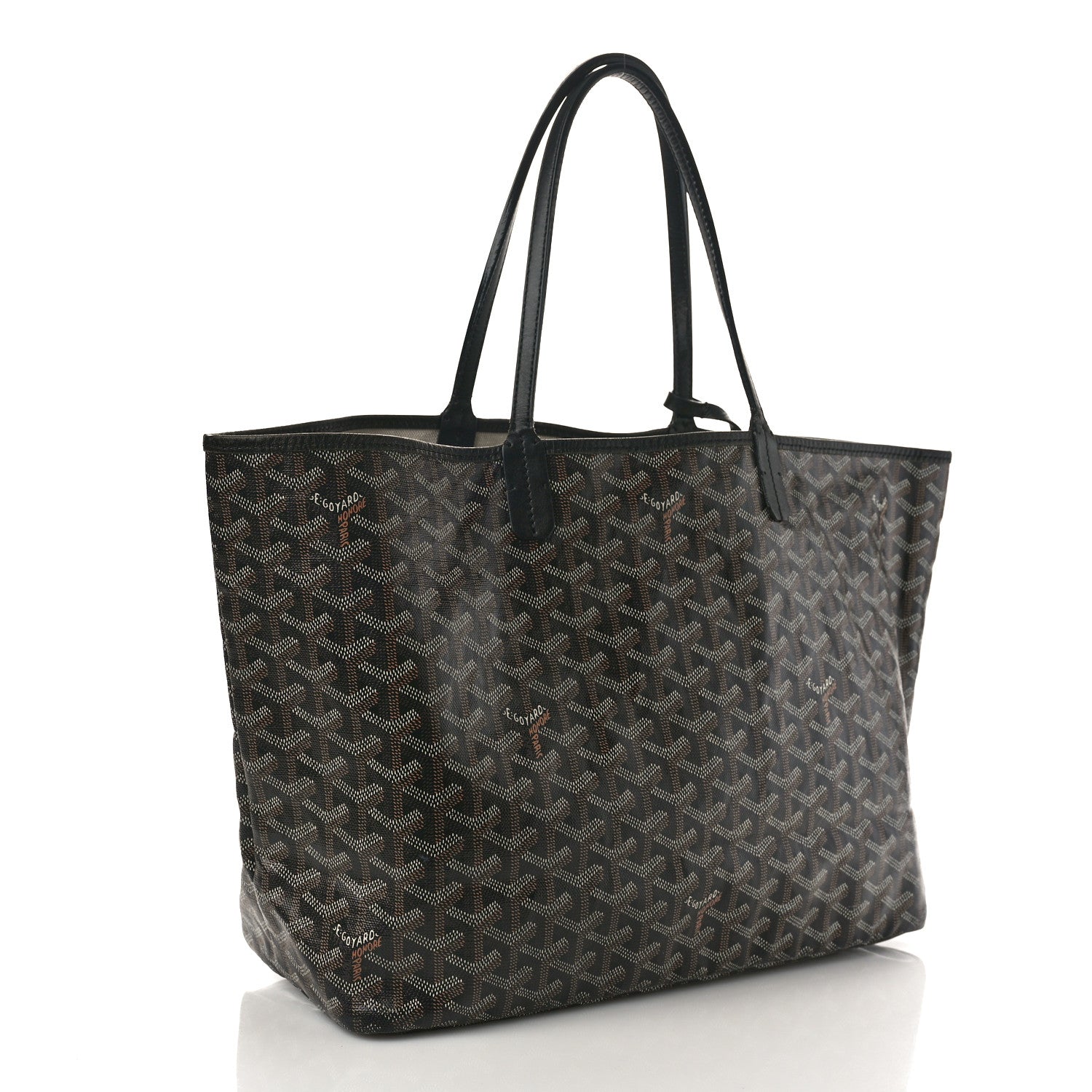 Goyard Goyardine Saint Louis PM Black 4 of 12