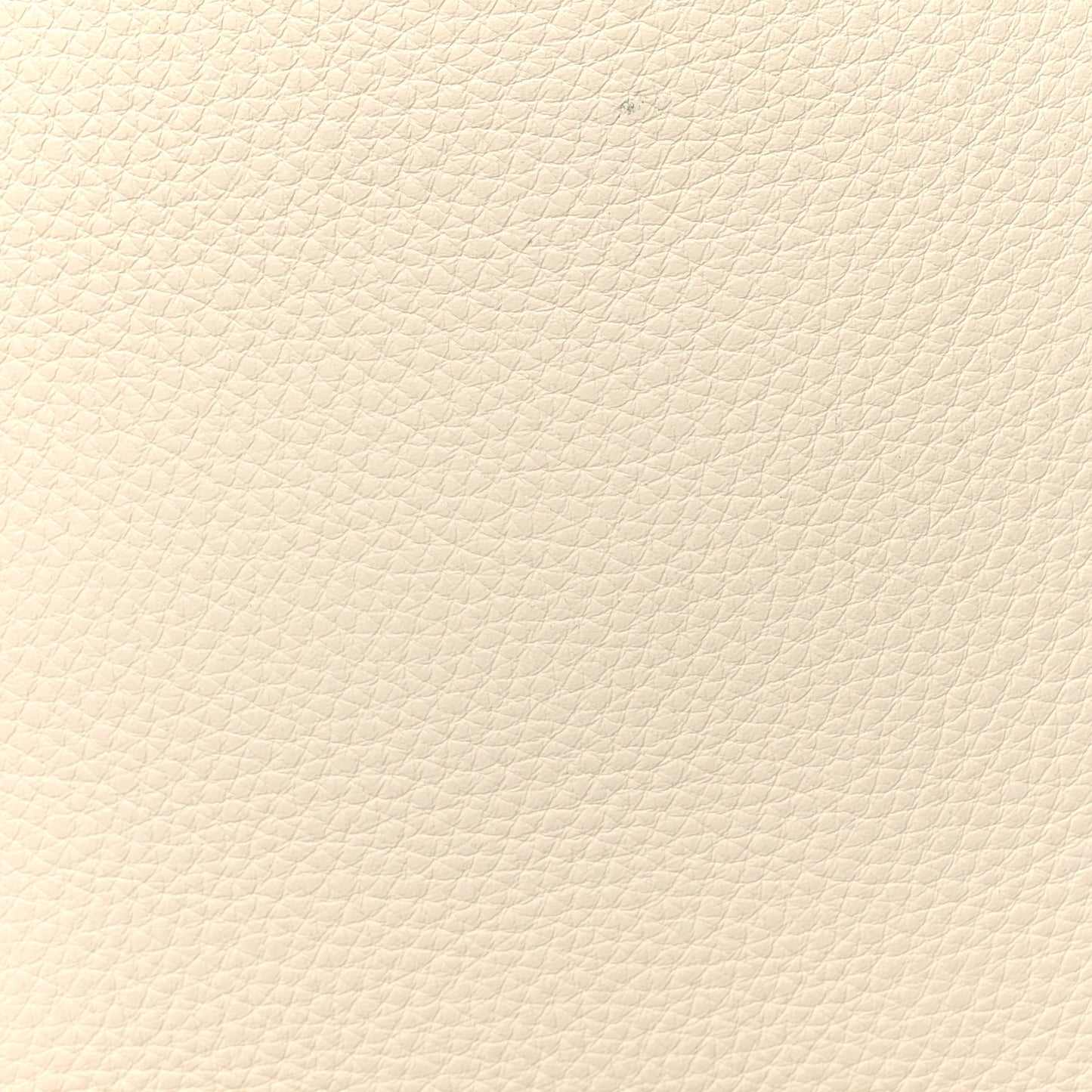 Grained Calfskin Large N/S Park Tote Ivory