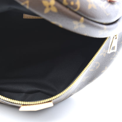 Louis Vuitton Monogram Bumbag 4 of 9