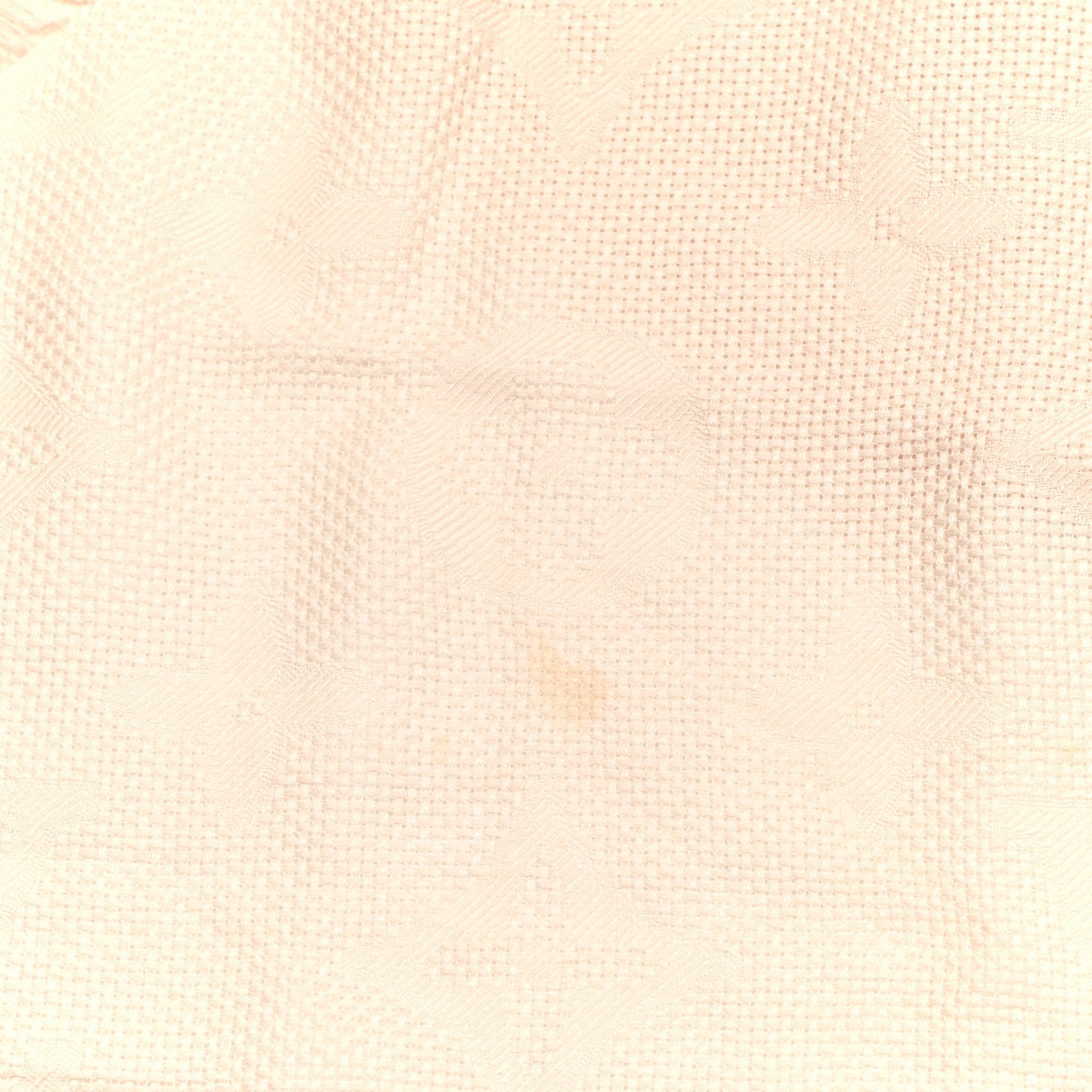 Wool Silk Monogram Shawl Beige