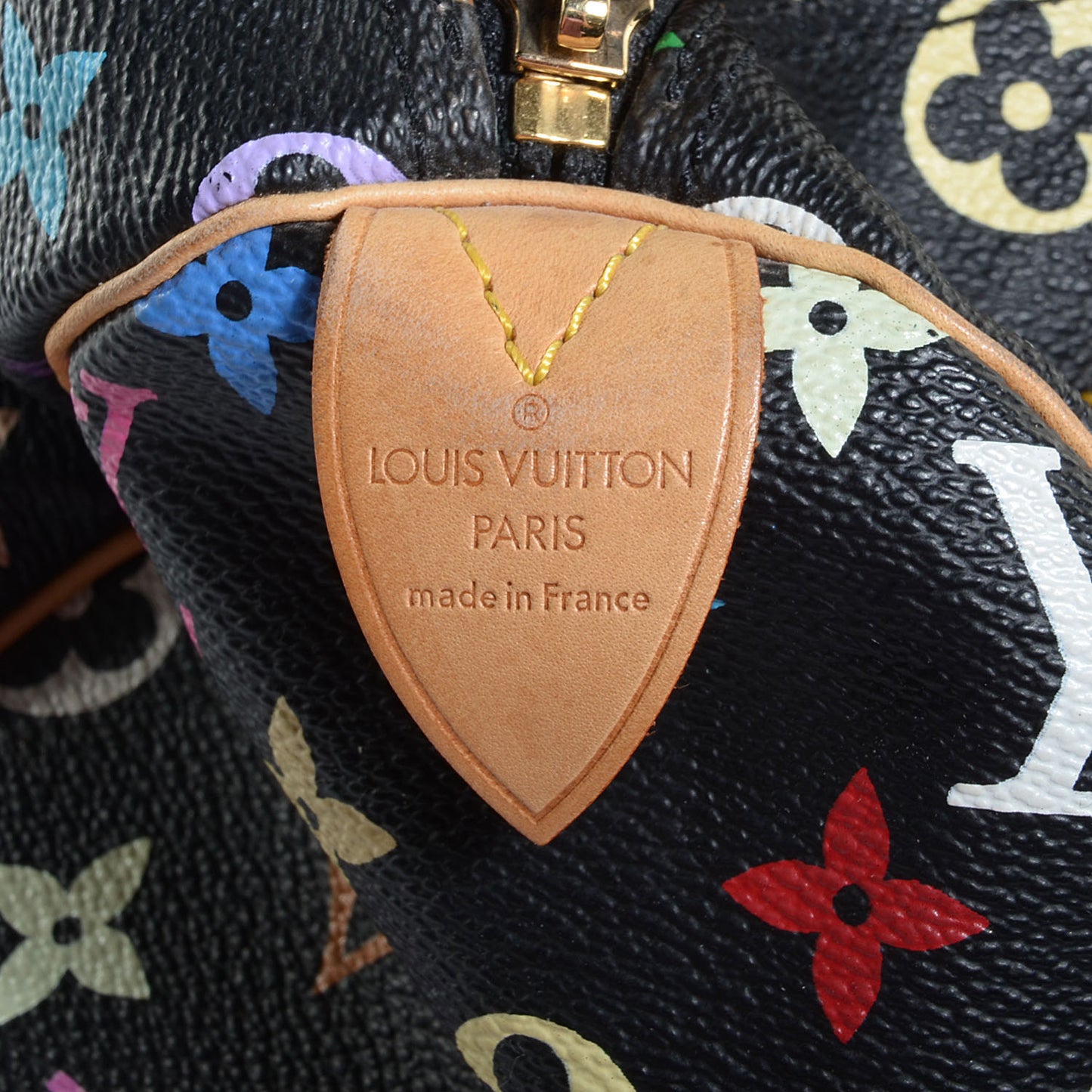 Monogram Multicolor Speedy 30 Black