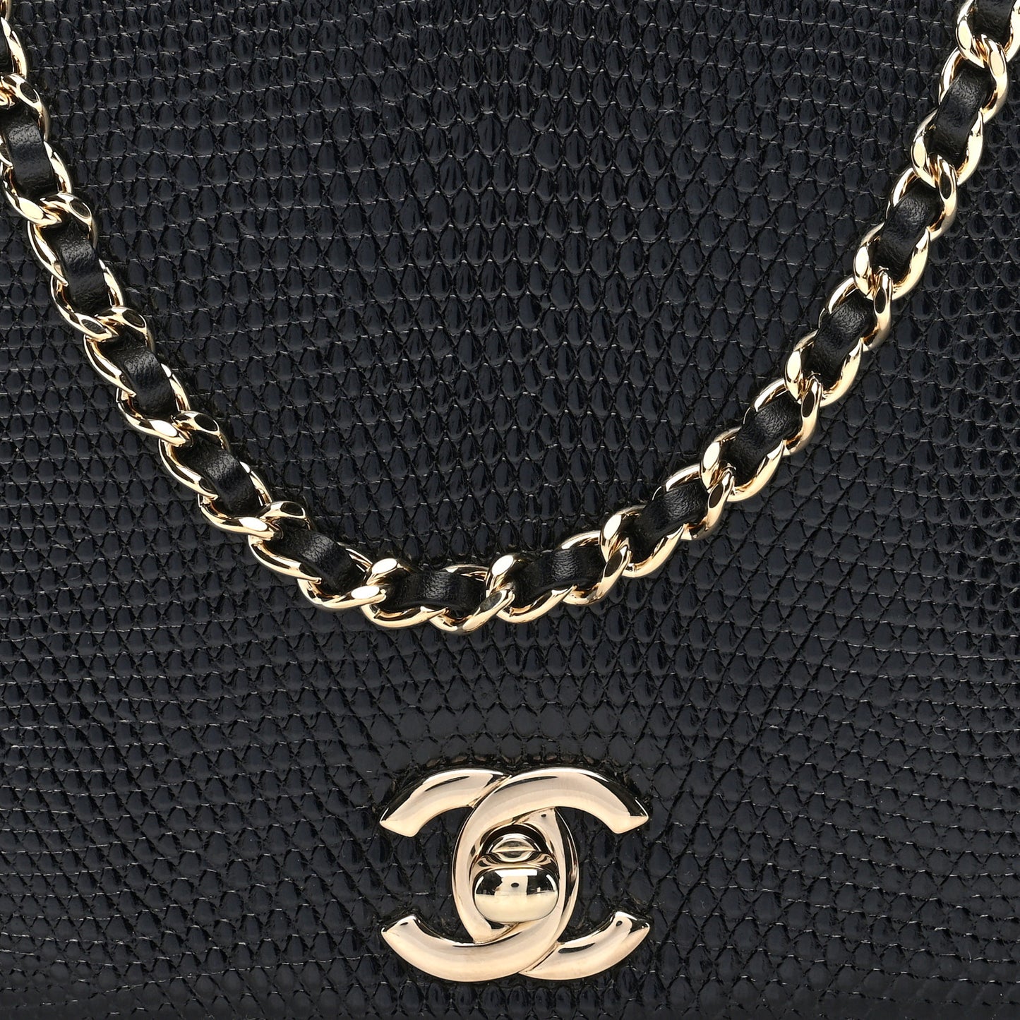 Lizard Small Single Flap Black