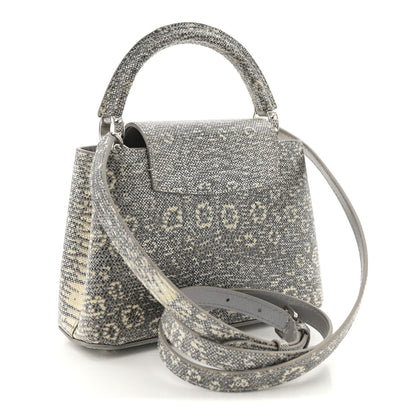 Louis Vuitton Lizard Mini Capucines Argento 3 of 10