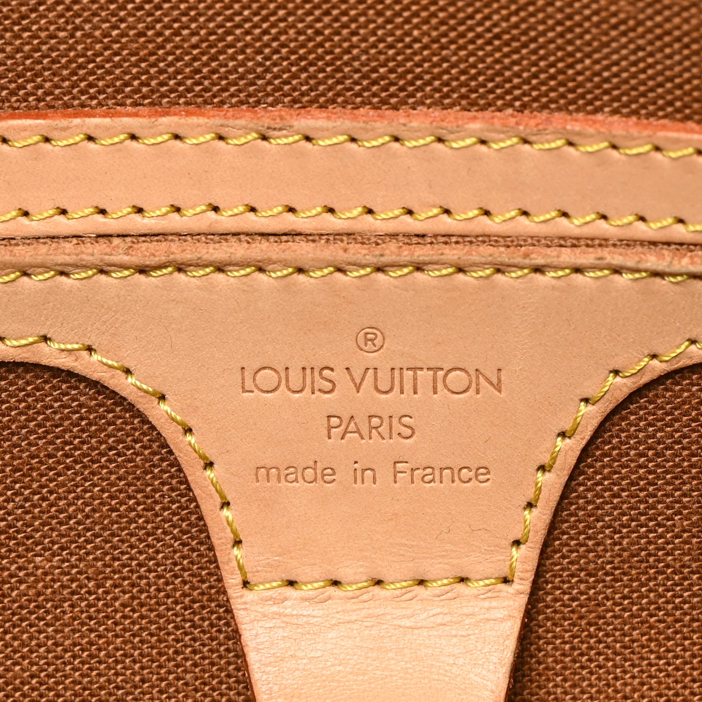 Monogram Ellipse GM Shopping Bag