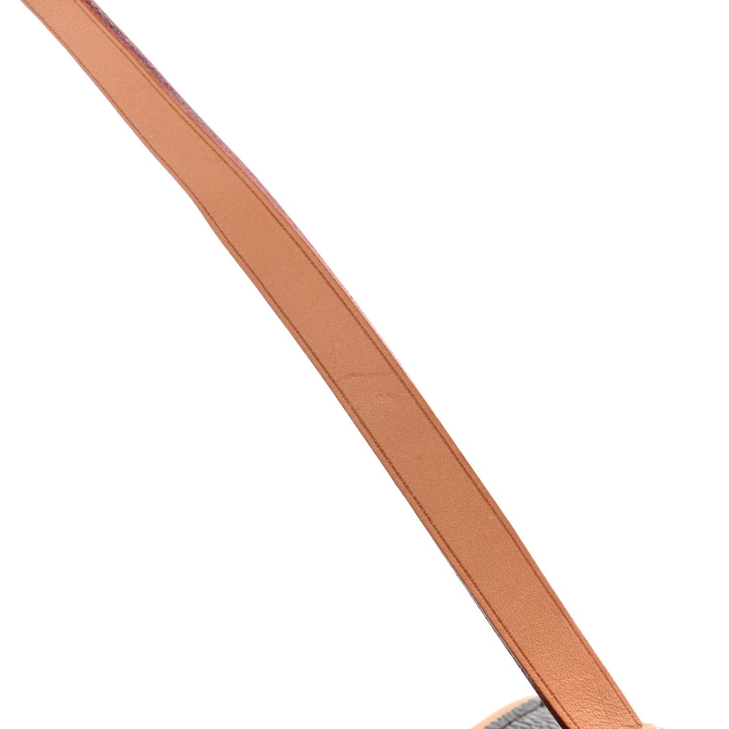 Monogram Pochette Florentine XS